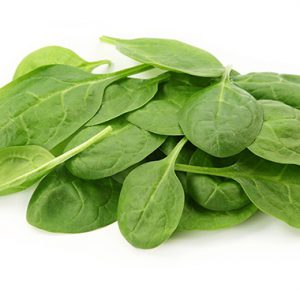 Leaf Spinach